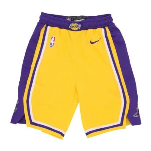 Nike NBA Icon Edition Basketshorts Multicolor, Herr