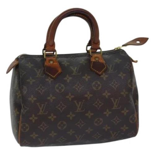 Louis Vuitton Vintage Pre-owned Canvas handvskor Brown, Dam