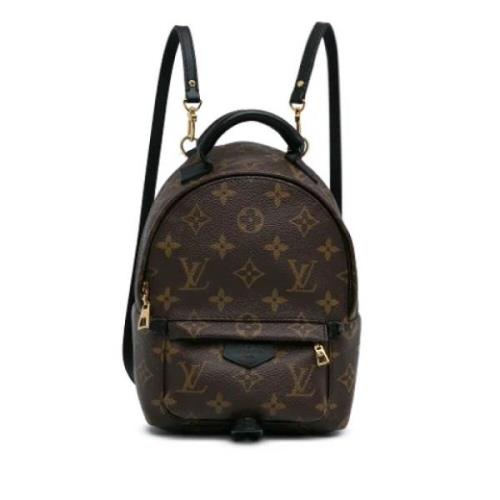 Louis Vuitton Vintage Pre-owned Canvas ryggsckar Brown, Dam