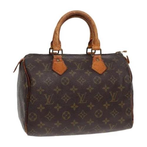 Louis Vuitton Vintage Pre-owned Canvas handvskor Brown, Dam