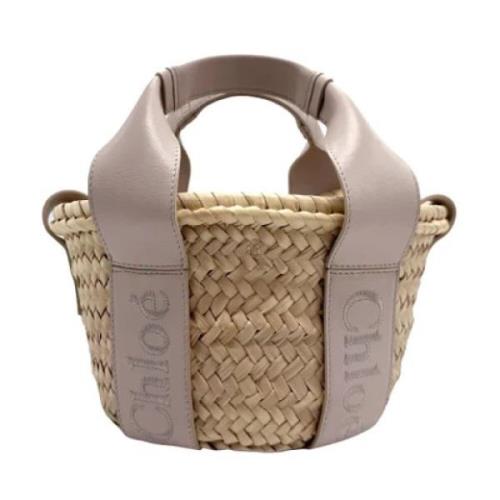 Chloé Pre-owned Pre-owned Raffia axelremsvskor Gray, Dam