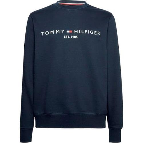 Tommy Hilfiger Blå Ekologisk Bomullströja Blue, Herr