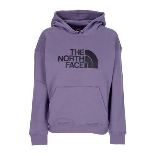 The North Face Lätt Drew Peak Hoodie i Lunar Slate Purple, Herr