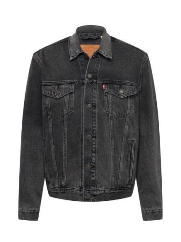 Övergångsjacka 'The Trucker Jacket'