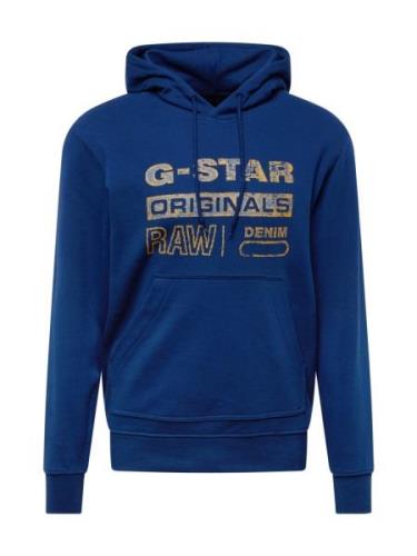 Sweatshirt 'Distressed Originals'