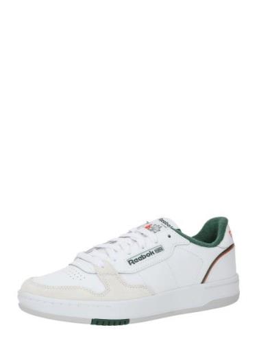 Låg sneaker 'PHASE COURT'