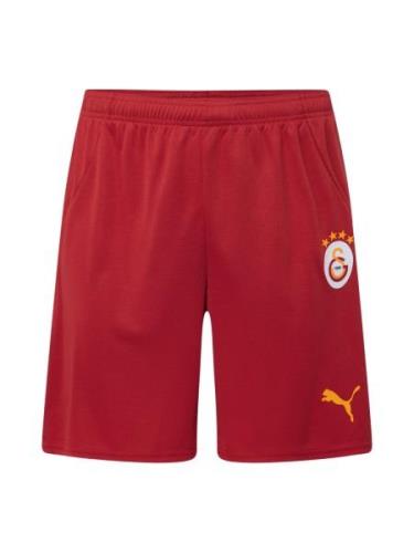 Sportbyxa 'Galatasaray SK 24/25'