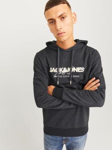 Sweatshirt 'JJALVIS'