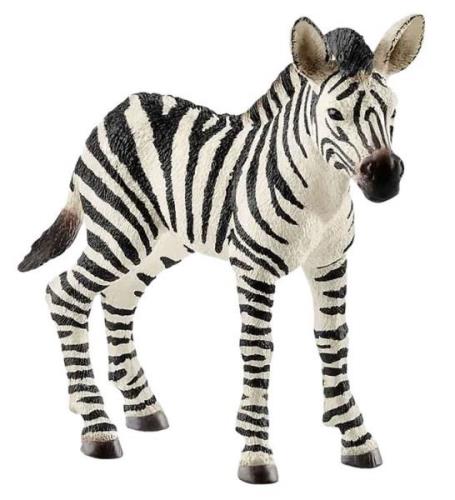 Schleich Wild Life - H: 7 cm - ZebrafÃ¶l 14811