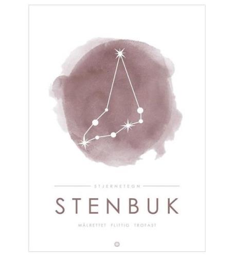 Citatplakat Affisch - A3 - Constellation - Stenbocken - Rosa