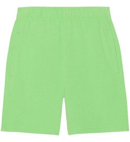 Molo Sweatshorts - Adian - GrÃ¤s Green