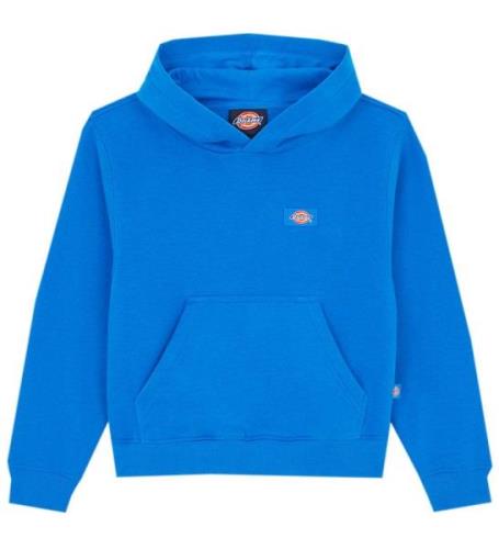 Dickies Hoodie - Oakport - Turkiska Sea