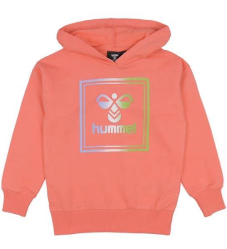 Hummel Sweatshirt - hmlLeiden - Sweet 