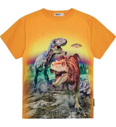 Molo T-shirt - Riley - Lekfull Dinosaur