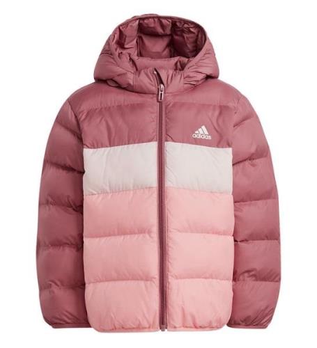 adidas Performance Vadderad jacka - Rosa