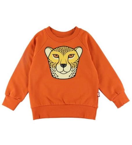 DYR-Cph Sweatshirt - Animal Bellow - Pumpkin Geropard