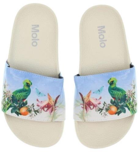 Molo Strandsandaler - Zhappy - Paradise Bird