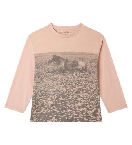 Stella McCartney Kids Tröja - Rosa/Häst