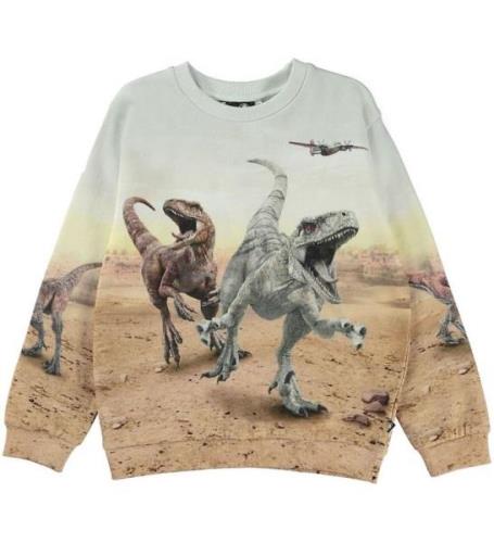 Molo Sweatshirt - Miksi - Dinos Galore