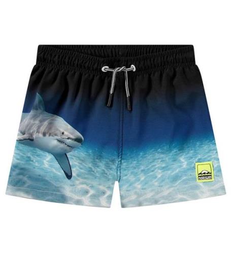 Molo Badshorts - UV50+ - Niko - Blekt Shark