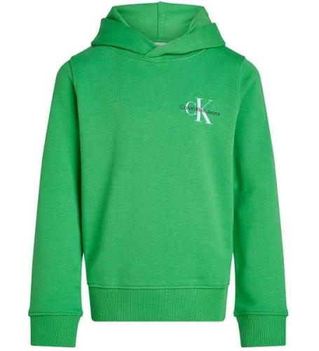 Calvin Klein Hoodie - Small Monogram - Vintage Green