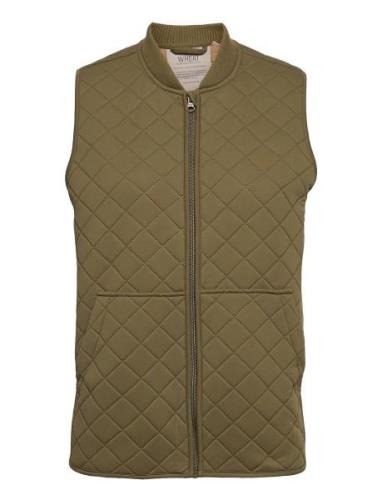 Thermo Gilet Eden Adult Green Wheat