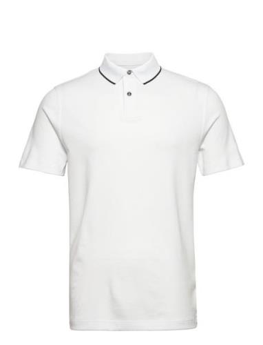 Slhleroy Ss Polo Noos White Selected Homme
