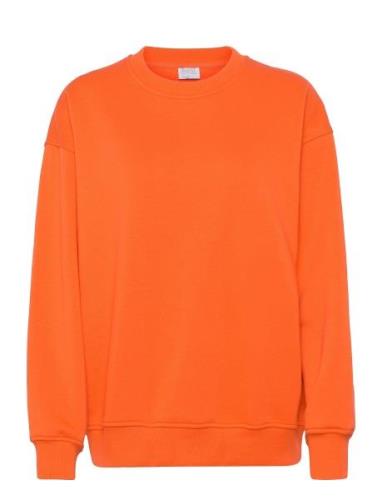 Sweatshirt Orange Enkel Studio