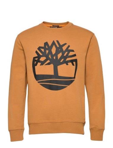Kennebec River Tree Logo Crew Neck Sweatshirt Wheat Boot/Black Orange ...