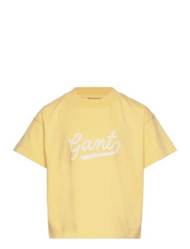 D2. Script Ss T-Shirt Yellow GANT