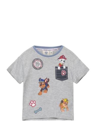 Short-Sleeved T-Shirt Grey Paw Patrol