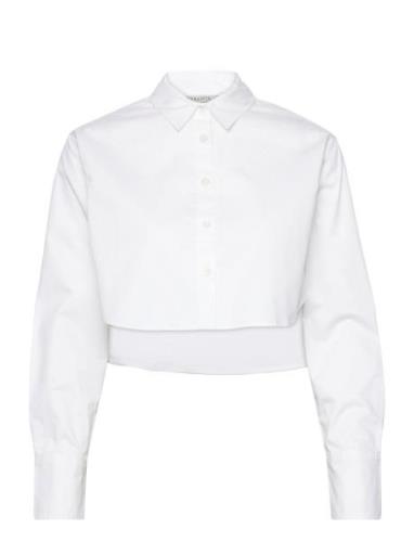 Averie Shirt White AllSaints
