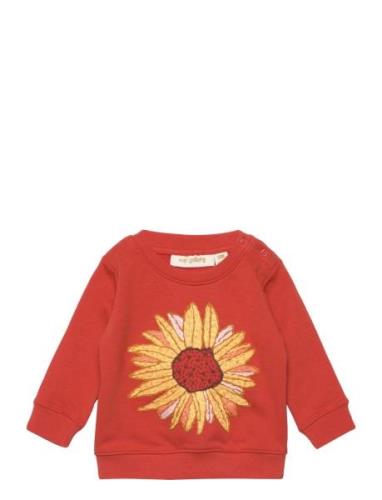 Sgbbuzz Sunflower Sweatshirt Orange Soft Gallery