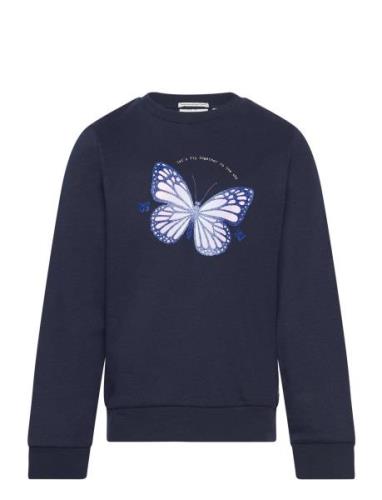 Sweatshirt With Butterfly Print Navy Tom Tailor