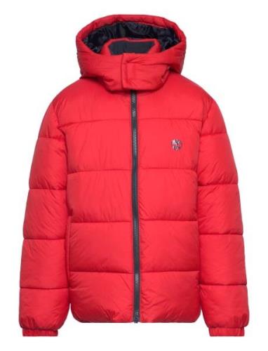 Puffer Jacket Red Timberland