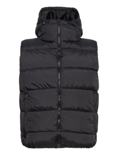 Gilet Hood Mr Black French Connection