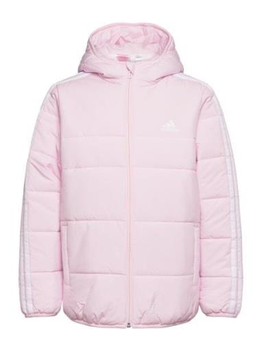 3-Stripes Padded Jacket Kids Pink Adidas Sportswear