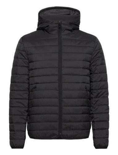 Quilted Crinkle Jacket Hood Black Calvin Klein