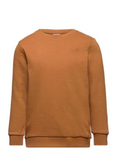 Sweatshirt Basic Brown Lindex