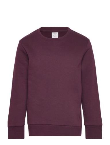 Sweatshirt Basic Burgundy Lindex