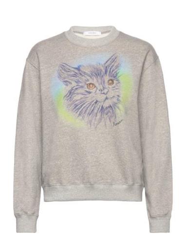 Sweatshirt Louiscat Molleton Grey ROSEANNA