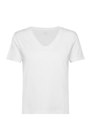 100% Cotton V-Neck T-Shirt White Mango