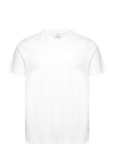 Basic Cotton V-Neck T-Shirt White Mango