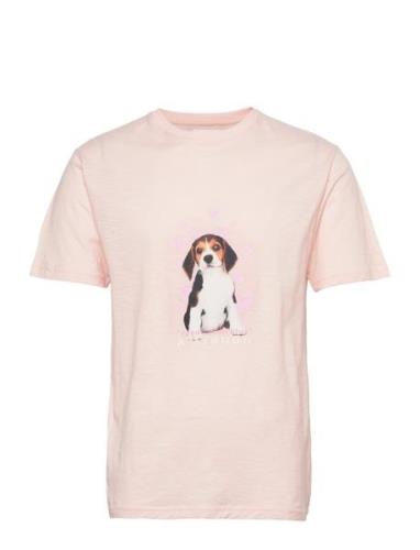 Ace Cute Doggy T-Shirt Pink Double A By Wood Wood