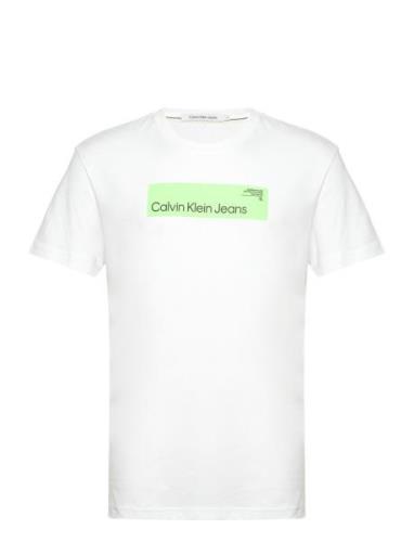 Hyper Real Box Logo Tee White Calvin Klein Jeans