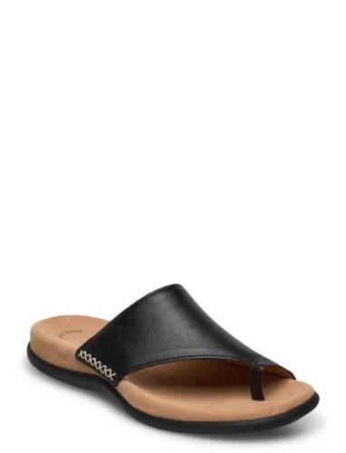 Slip-In Black Gabor