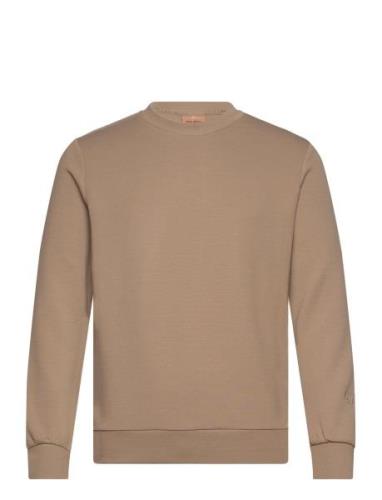 Abel Crew Neck Sweat Brown Mos Mosh Gallery