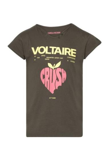 Short Sleeves Tee-Shirt Khaki Zadig & Voltaire Kids