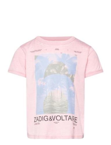 Short Sleeves Tee-Shirt Pink Zadig & Voltaire Kids