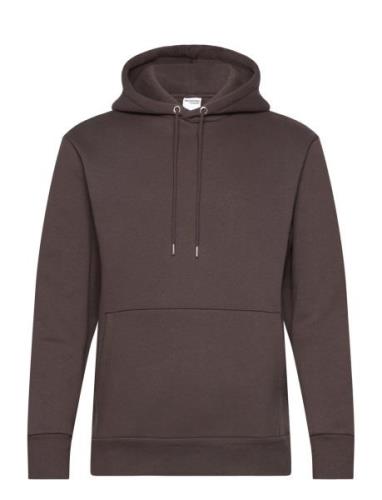 Slhreg-Dan Sweat Hood Brown Selected Homme